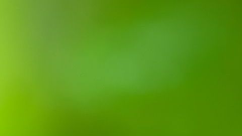 shutterstock_561197323