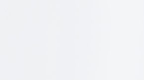 shutterstock_568444162