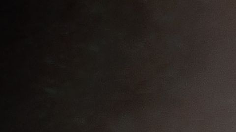 shutterstock_577556113