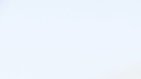 shutterstock_595858724