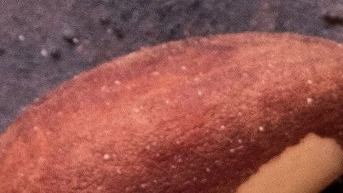 shutterstock_611411159