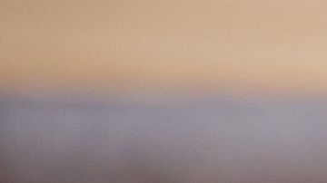 Muchos no quieren seguir pasando solos el Día de los enamorados.