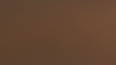 El flan es un postre que data de la época de los romanos.