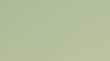 shutterstock_630824309