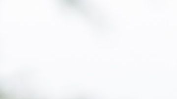 shutterstock_635789831