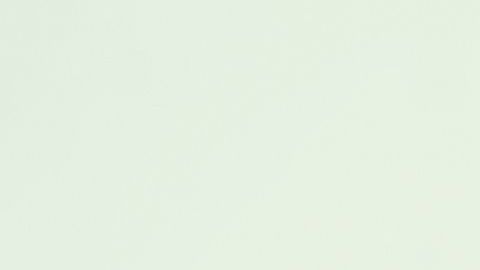 shutterstock_691877758