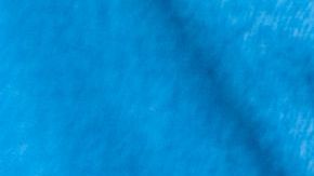 shutterstock_699937366