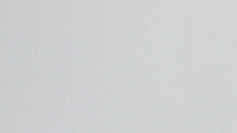 shutterstock_767023777