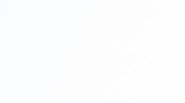 shutterstock_771855931