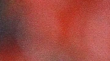 Al parecer, solo un milagro mantendría a Robert Dante Siboldi en el banquillo del Cruz Azul.