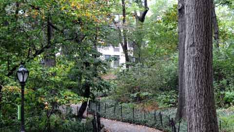 El recorrido por la Villa Séneca es guiado por expertos del Central Park.