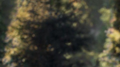 Harrison Ford en el papel de Thornton y Buck en una escena de "The Call of the Wild".