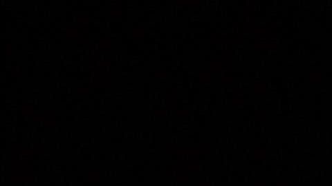 El grupo es muy querido en Estados Unidos.