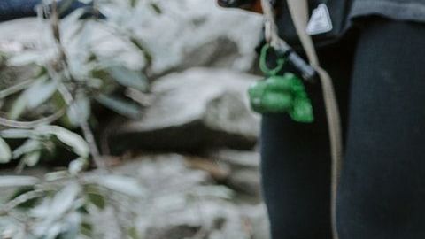 Tips para viajar con tu mascota / Crédito: Fotógrafo Patrick Hendry vía Unsplash