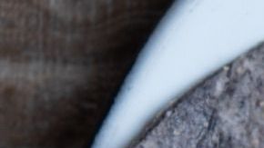 Tortillas-Carlos Rojas20-Canva