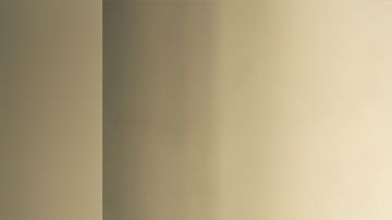 No sólo pagan bien, sino que puedes hacerlo desde casi cualquier lugar.