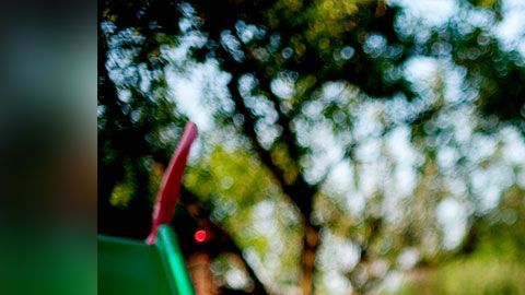 Un empleo de fin de semana podría ayudarte a mejorar tus finanzas personales.