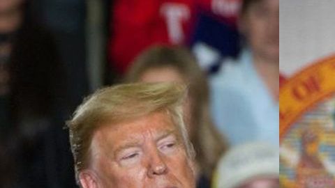 Trump cree que Bloomberg quiere minimizar a Sanders.