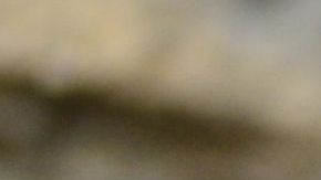 Los trovadores eran poetas cuyos mensajes de amor eran  generosos, galantes y gentiles.