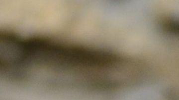 Los trovadores eran poetas cuyos mensajes de amor eran  generosos, galantes y gentiles.