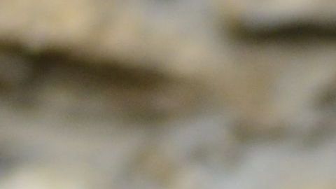 Los trovadores eran poetas cuyos mensajes de amor eran  generosos, galantes y gentiles.