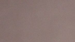 Emilio Lozoya Austin.