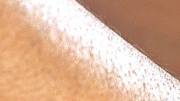 La unión hace la fuerza hasta para poder comprar una casa.