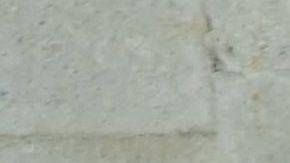 Vanessa Claudio, nueva conductora de "Suelta la Sopa".