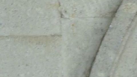 Vanessa Claudio, nueva conductora de "Suelta la Sopa".