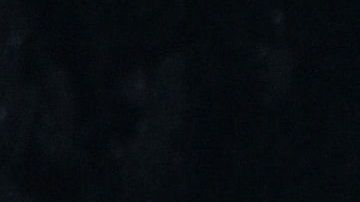 Evita intoxicaciones alimentarias y aprende a congelar de manera correcta los productos cárnicos.