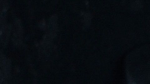 Evita intoxicaciones alimentarias y aprende a congelar de manera correcta los productos cárnicos.