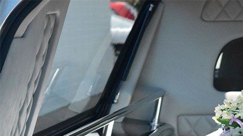 La directora de la empresa dice que es probable que, en el futuro, la humanidad pueda revivir a los muertos.