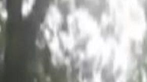 VIDEO 40 sicarios del Mencho y el CJNG avanzan por México