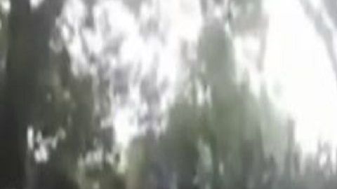 VIDEO 40 sicarios del Mencho y el CJNG avanzan por México