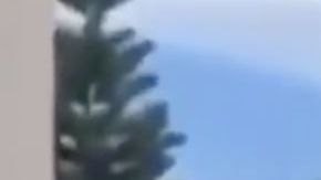 VIDEO: Cártel de Sinaloa muestra armas en calles mientras autoridades mexicanas callan