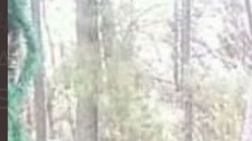 VIDEO: El Chonito, niño sicario del Cártel de Sinaloa la amenaza del futuro