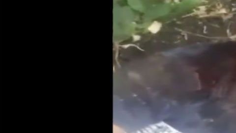 VIDEO: Grupo Árabe del CJNG interroga y ejecuta sin compasión a uno de Cártel de los Viagras