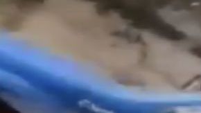 VIDEO: Narcos del Cártel de Sinaloa se exhiben en tierra natal del Chapo Guzmán