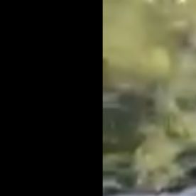 VIDEO: Sicarios interrogan a joven a punta de balazos hasta darle el tiro de gracia