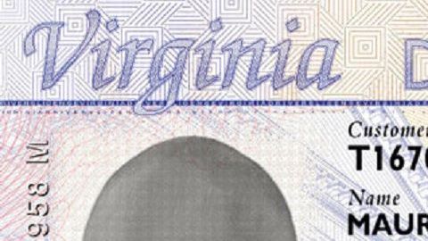 Los indocumentados podrían obtener una licencia de manejo básica.