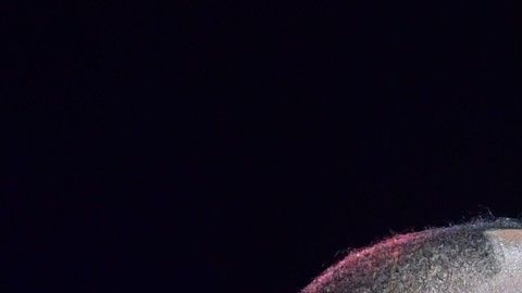 Deontay Wilder y Tyson Fury durante la conferencia de su próximo pleito.