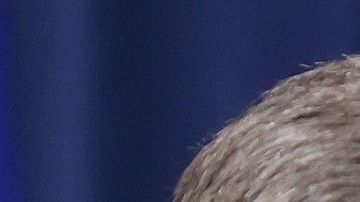 El fiscal general William Barr; el presidente Donald Trump y Roger Stone.