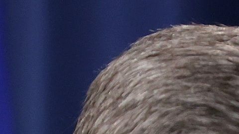 El fiscal general William Barr; el presidente Donald Trump y Roger Stone.