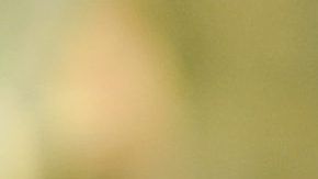 Photo © 2019 Backgrid UK/The Grosby Group
Spain: Lagencia Grosby

EXCLUSIVE

Tunis, TUNISIA, 23 May, 2019.

British Model Demi Rose posing in a tiny bikini during a photoshoot while in Tunisia

Pictured: Demi Rose