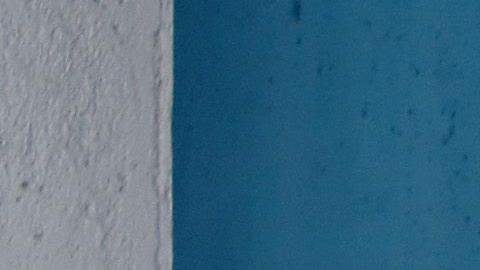 En Texas los votantes se encuentran listos.