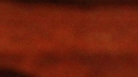 Internet es un lujo para muchos niños en NYC