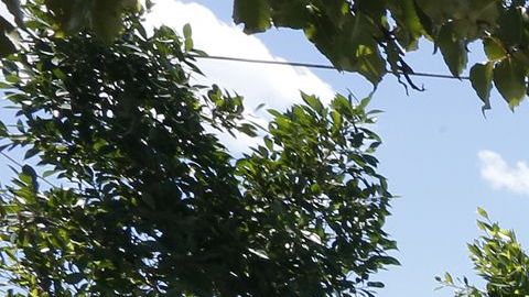 Los desamparados en California son los más vulnerables al coronavirus.