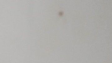 Se han registrado ya varios casos de envenenamiento por mala información.