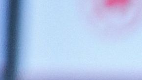 Canadá tomó la decisión de cerrar fronteras.