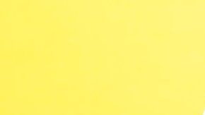 Los aguacates se destacan por su alto contenido en fibra y ácidos grasos Omega 3.